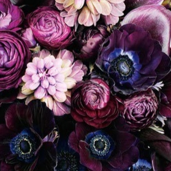 Meet your Posher, Mady - Picture 1 of 1